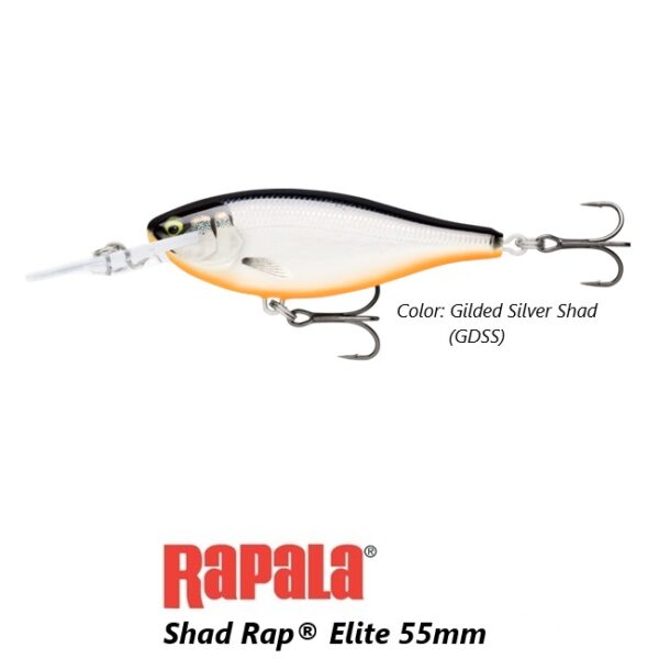 RAPALA SHAD RAP ELITE SRE55 GDSS