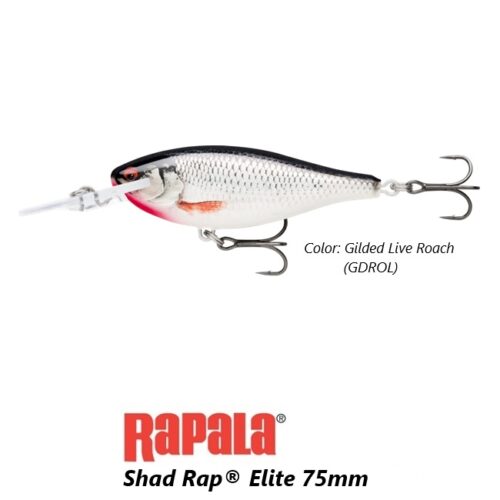 RAPALA SHAD RAP ELITE SRE75 GDROL